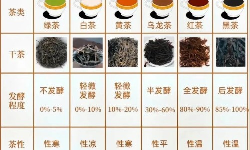 膀胱癌身体会出现什么症状-权威膀胱癌身体会出现什么症状平台,分享专业膀胱癌出现全身症状是什么原因知识_膀胱癌出现全身症状是网